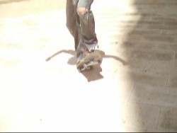 FS Fakie Shuv